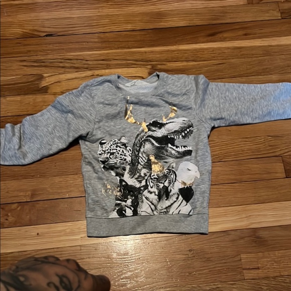 H&M 4-6Y Kids Gray Dinosaur Graphic Sweatshirt